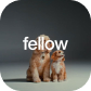 Fellow icon